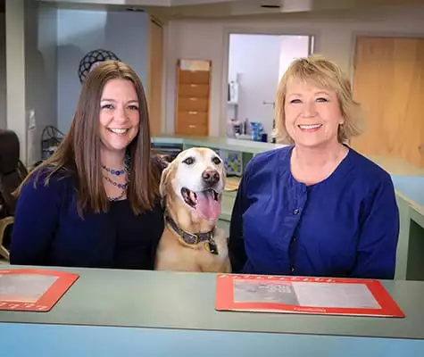 Dog sitting with receptionists