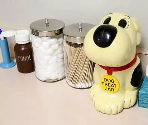 Dog treat jar