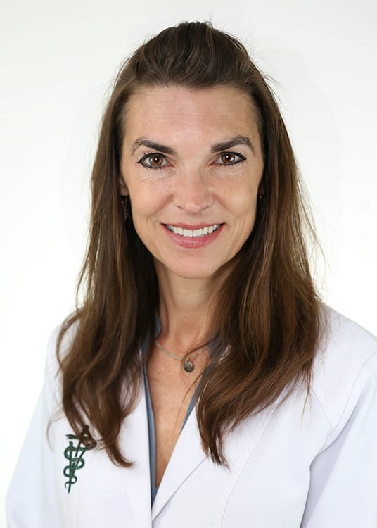 veterinarians