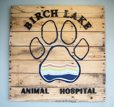 contact birch lake animal hospital in white bear lake, mn