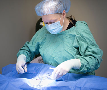 cat and dog surgery in white bear lake, mn